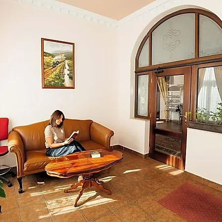 Hotel Pavlov 4*
