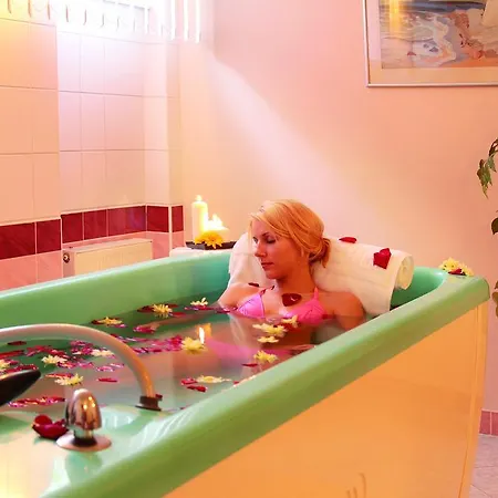 巴甫洛夫酒店 4* 卡罗维发利