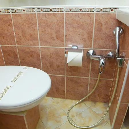 Hotel Pavlov 4*