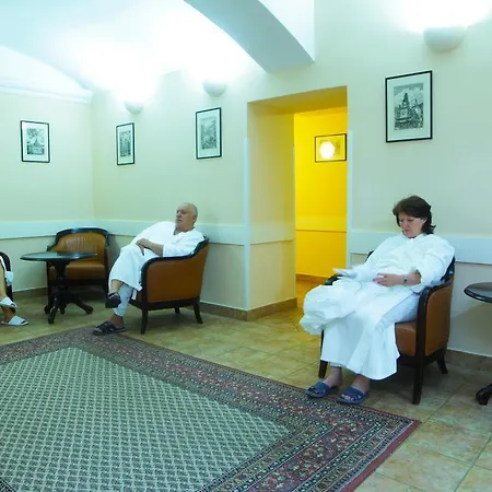 巴甫洛夫酒店 卡罗维发利