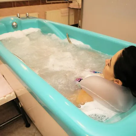 巴甫洛夫酒店 4*