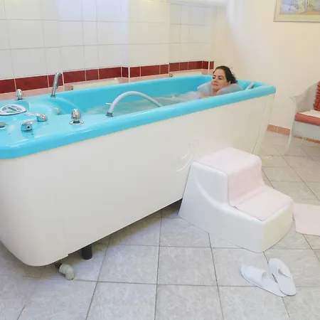 Pavlov Hotel 4*