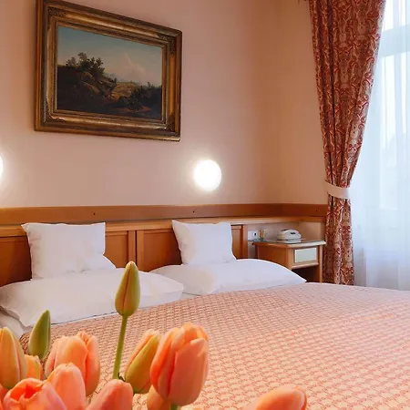 酒店 巴甫洛夫酒店 4*