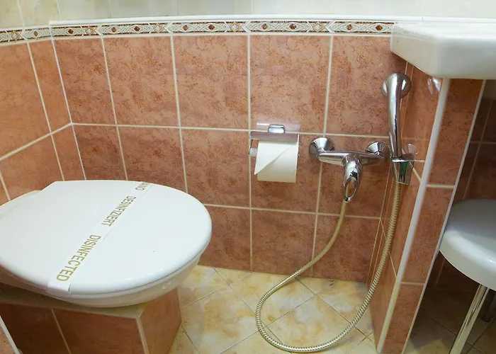 Hotel Pavlov 4*