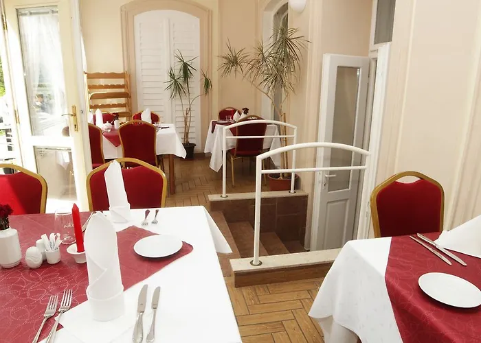 Hotel Pavlov 4*