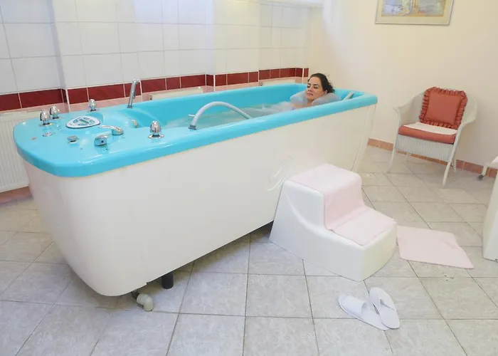 Pavlov Hotel 4*