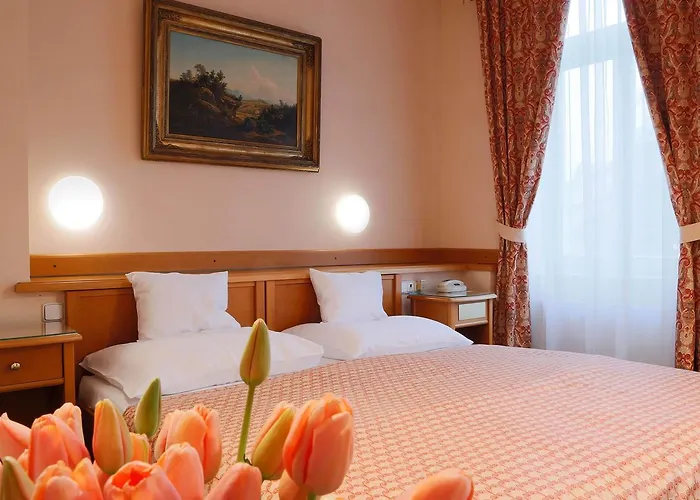 Hotel Pavlov 4*